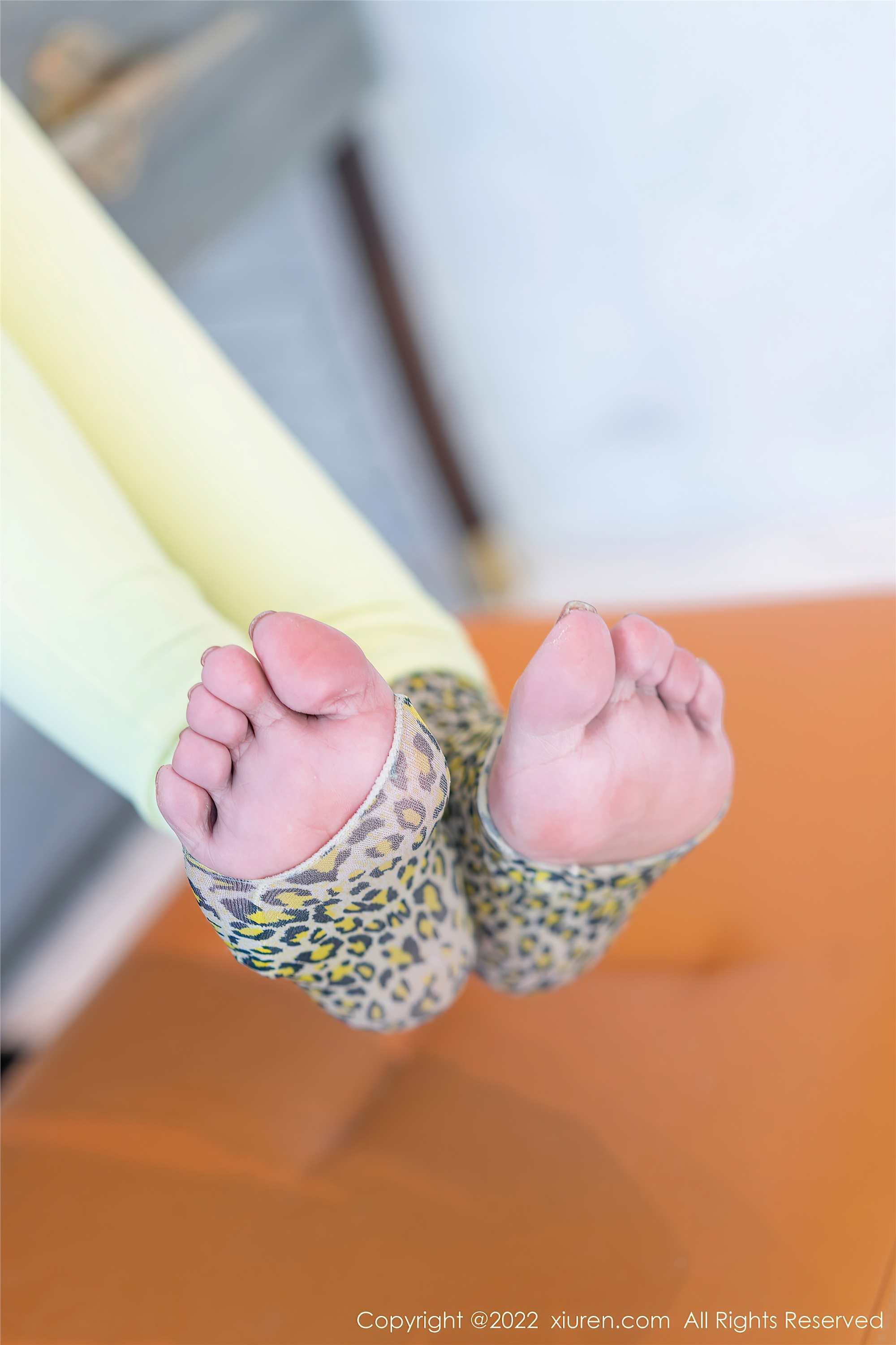 Xiuren秀人网 2022.06.07 NO.5113 允爾